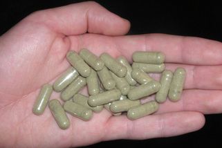 Kratom loni zabil sedmnáct lidí. Legální droga dál ničí zdraví českých teenagerů - Médium.cz